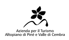 Logo Lona - Lases