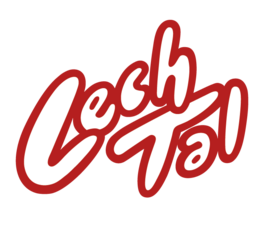 Logo Steeg im Lechtal