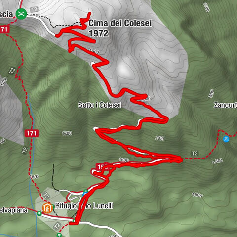 Cima Colesei - Trekking