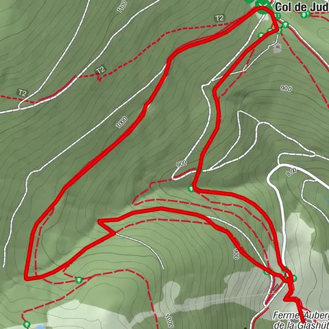 Wanderung Hof-Auberge Glashütte - Wanderung im Belchenwald