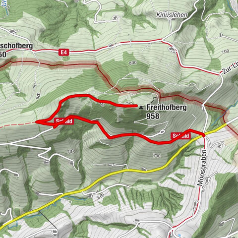 Freithofberg
