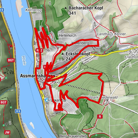 Assmannshäuser Rotweinweg und Höllentalschleife