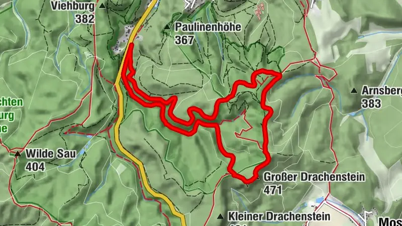 Urwaldpfad Eisenach - Thüringer Urwaldpfade