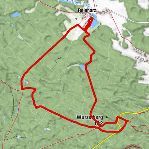 Dübener Heide