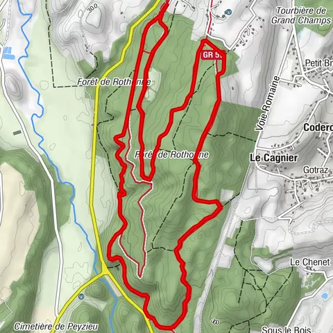 MTB-Strecke 2 blau - Der Wald von Rothonne: Le Cerf - Espace FFC Ain Forestière