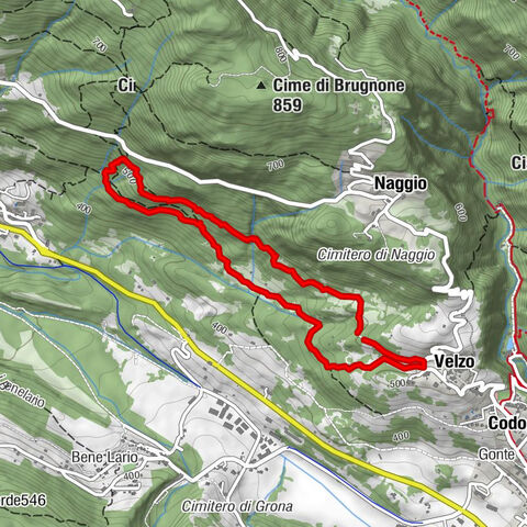 Il Rogolone - Alte Eiche