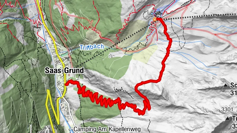 Wildschutzzone Furwald