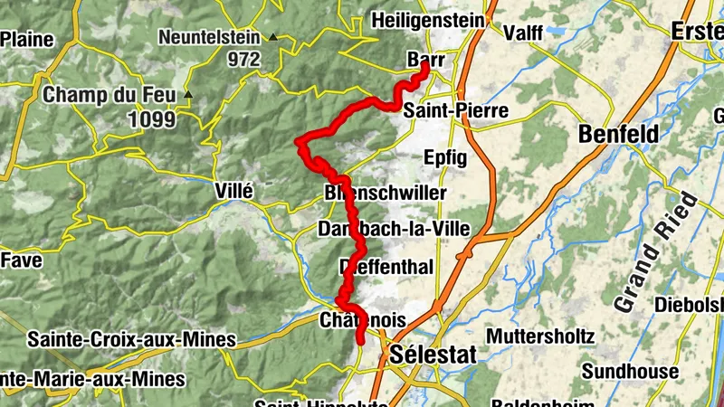 Querung des Vogesen-Massivs - 11. Etappe - Barr - Châtenois
