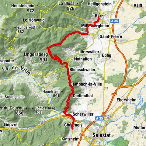 Querung des Vogesen-Massivs - 11. Etappe - Barr - Châtenois
