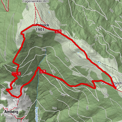 Amberg: Palnock 1901m, Schwarzsee, Rundstrecke