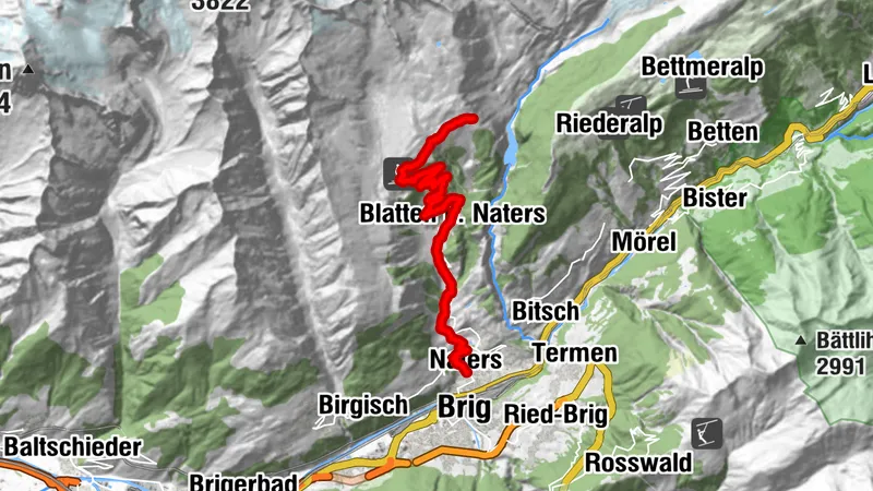 UPHILL NATERS - BELALP ALETSCHBORD
