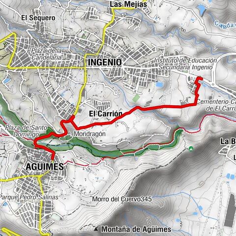 Carrizal -  Agüimes