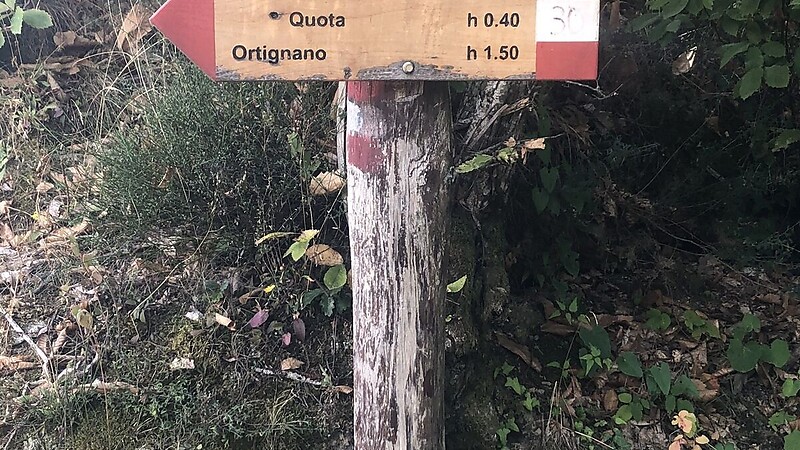 Karte