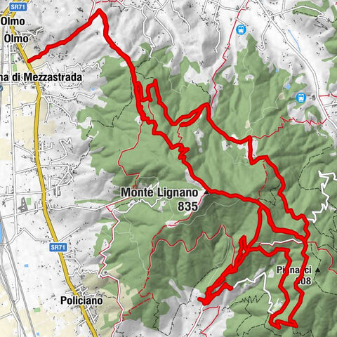 Bike&Park Lignano (Arezzo)⛰: Spinning top for trails