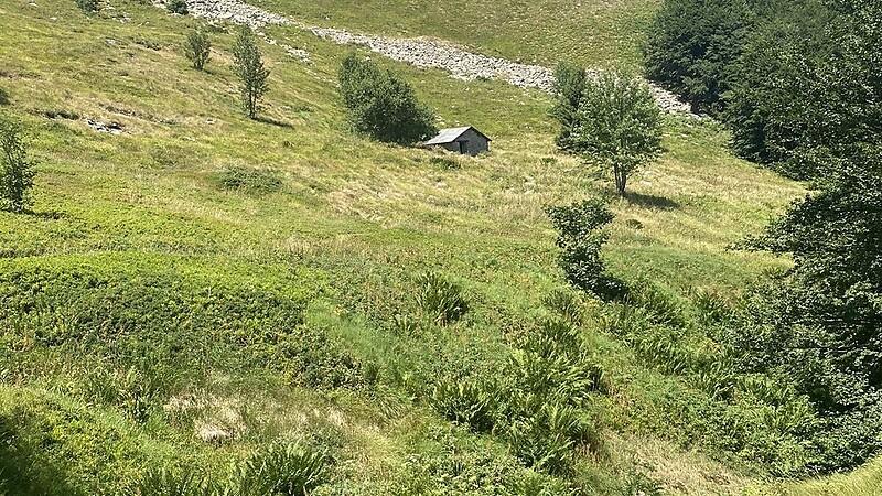 Karte
