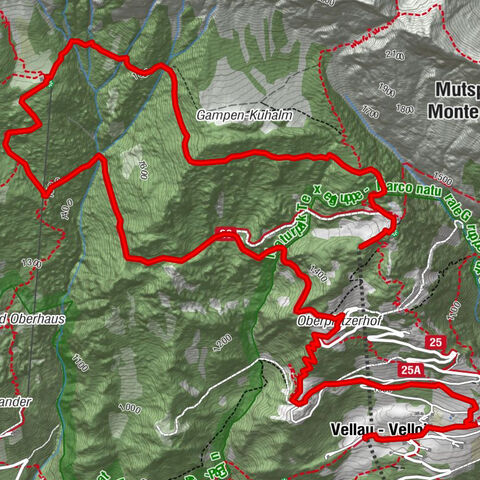 Leiter Alm - Hochganghaus - Gamplweg - Vellau