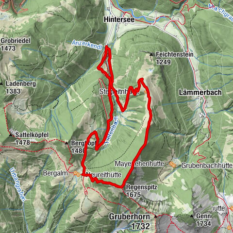 Vom Satzstein über die Feichtensteinalm auf den Regenspitz
