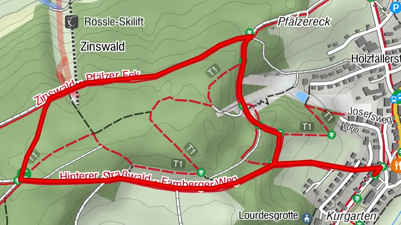 Höhenklimaweg Schönwald - Zinswaldrunde
