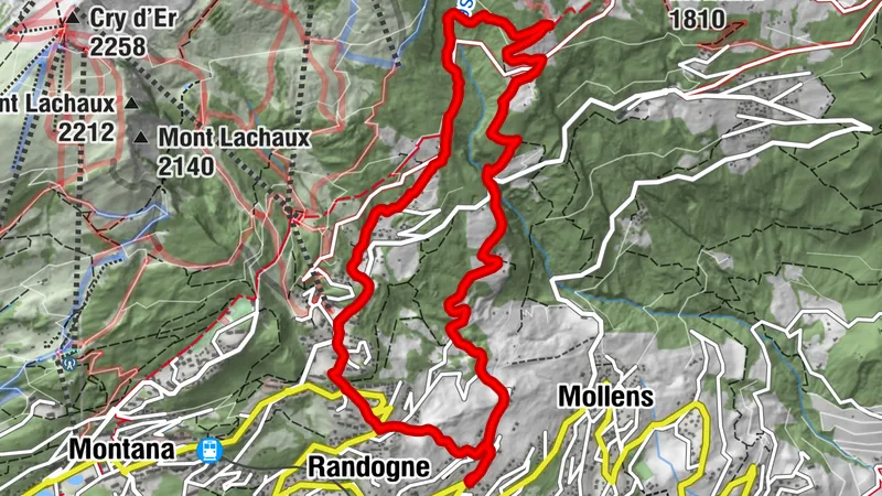 8 - Trail von Randogne