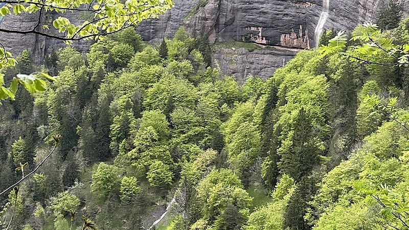 Karte
