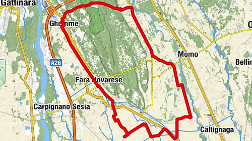Between the Sesia and the vineyards of the Novara hills