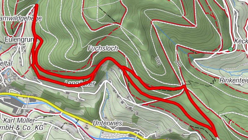 NW Tour 7 - Sattelei - Fuchsloch - rund um Mitteltal