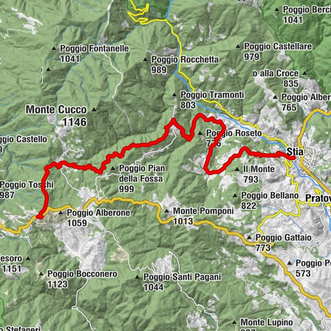 Passo della Consuma - Poggio Tre Monti - Matteraia - Stia