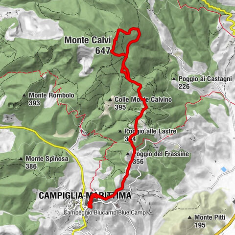 Pizzica - Placa - Poggio alle Grotte - Monte Calvi