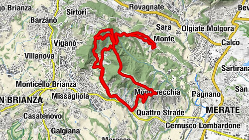 Lomaniga Cipressi