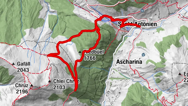Rundwanderung durch Moorlandschaften St. Antöniens