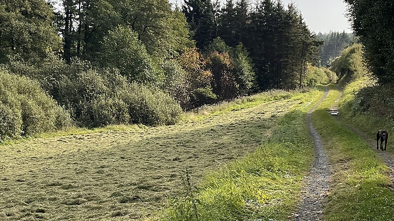 Karte