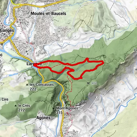 WANDELUNG AUF DEM PLATEAU VON THAURAC