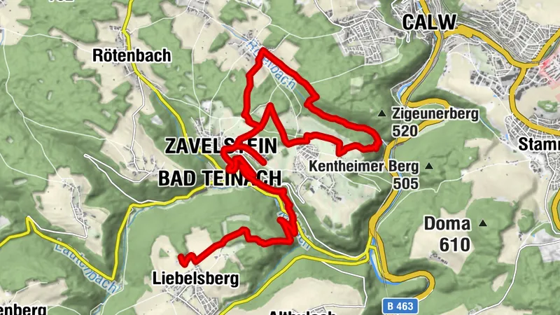 Schwarzwälder Spenden-Wander-Marathon 2024_Spaziergang_Kartengrundlage Open Street Map