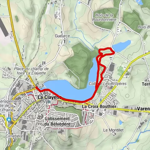 Flore et Faune en Bord de Lac