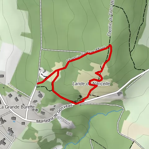 La Lande de Nancelle