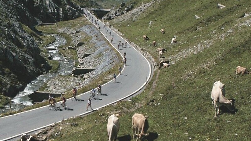 Karte