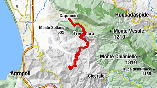 Cammino delle Terre  della Dieta Mediterranea - PIANA DEI GIUNCHI - Tappa VIII°
