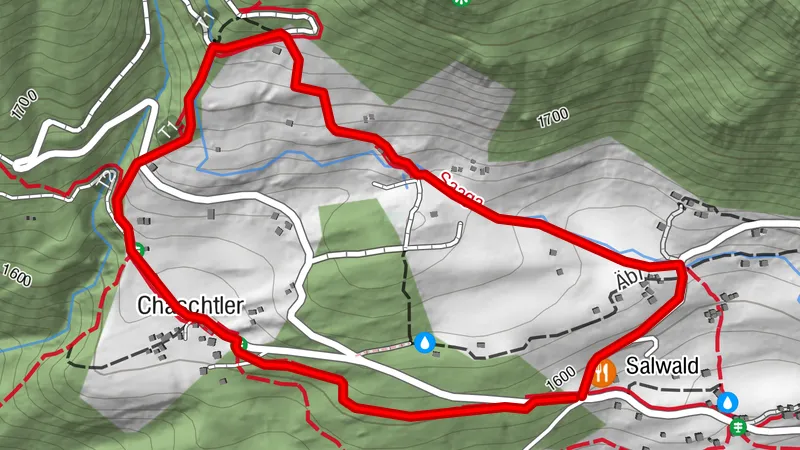 RUNDWEG SALWALD - CHASTLER