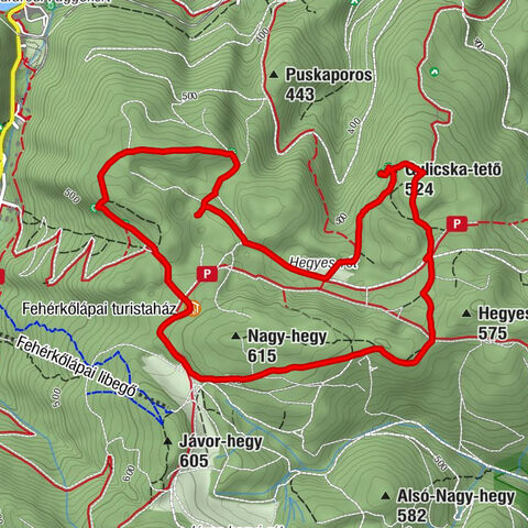 Fehérkőlápai turistaház - sziklaüreg - Fehérkőlápai-víznyelőbarlang - Gulicska-tető