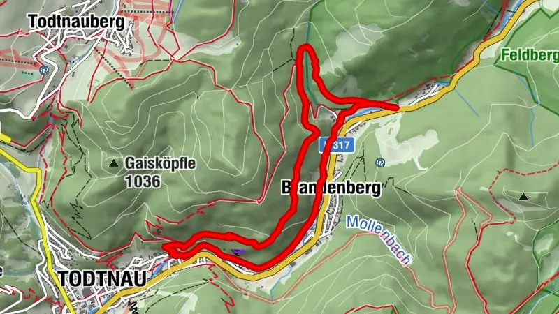 Walter-Wagner Weg - Todtnauer Geschichte erwandern