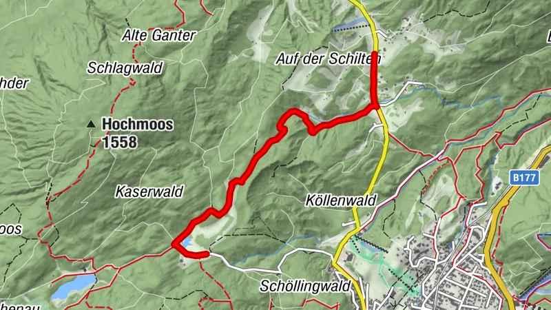 Biketour Nr. 5070 Neuleutasch-Wildmoos