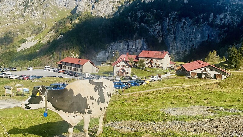 Karte