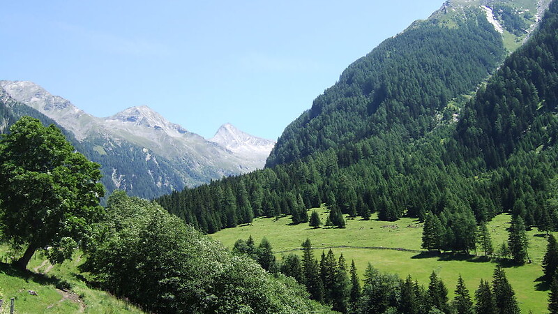 Karte