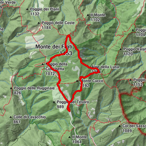 La Spinella - Passo delle Coste - Monte dei Frati - Alpe della Luna