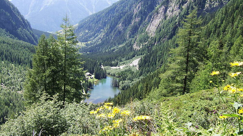 Karte