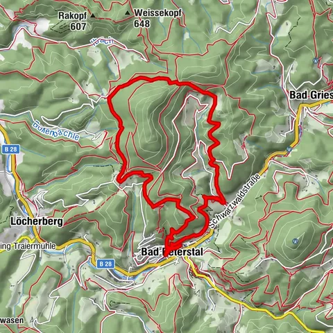 Schwarzwaldsteig in Bad Peterstal-Griesbach - eine Tour für "Weitblicker"