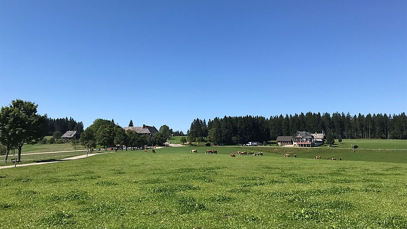 Karte