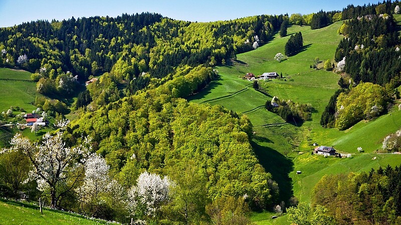 Karte