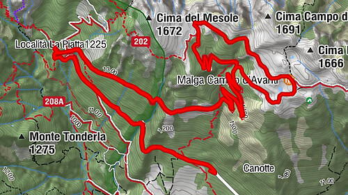 Giroingiro