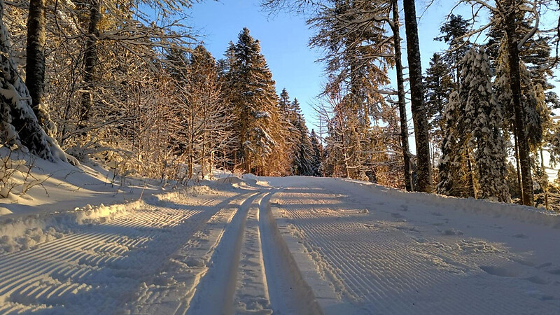 Karte